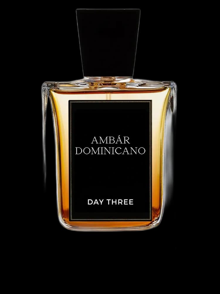 Ambar Dominicano unisex — Day Three