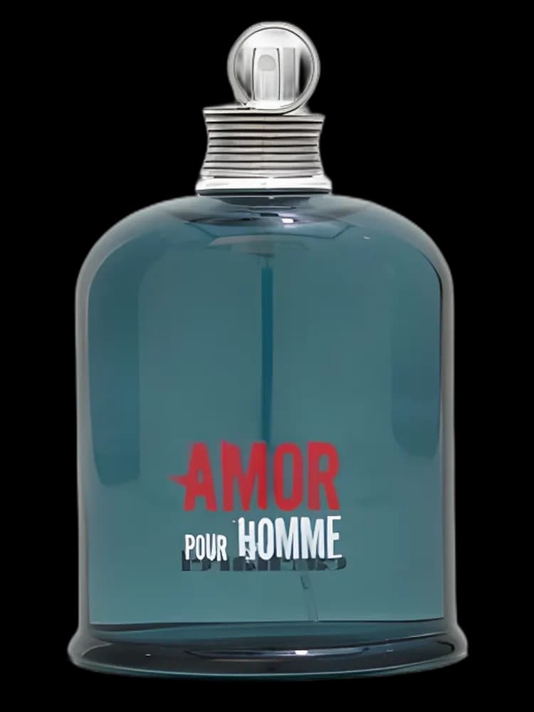 Amor pour Homme for men — Cacharel