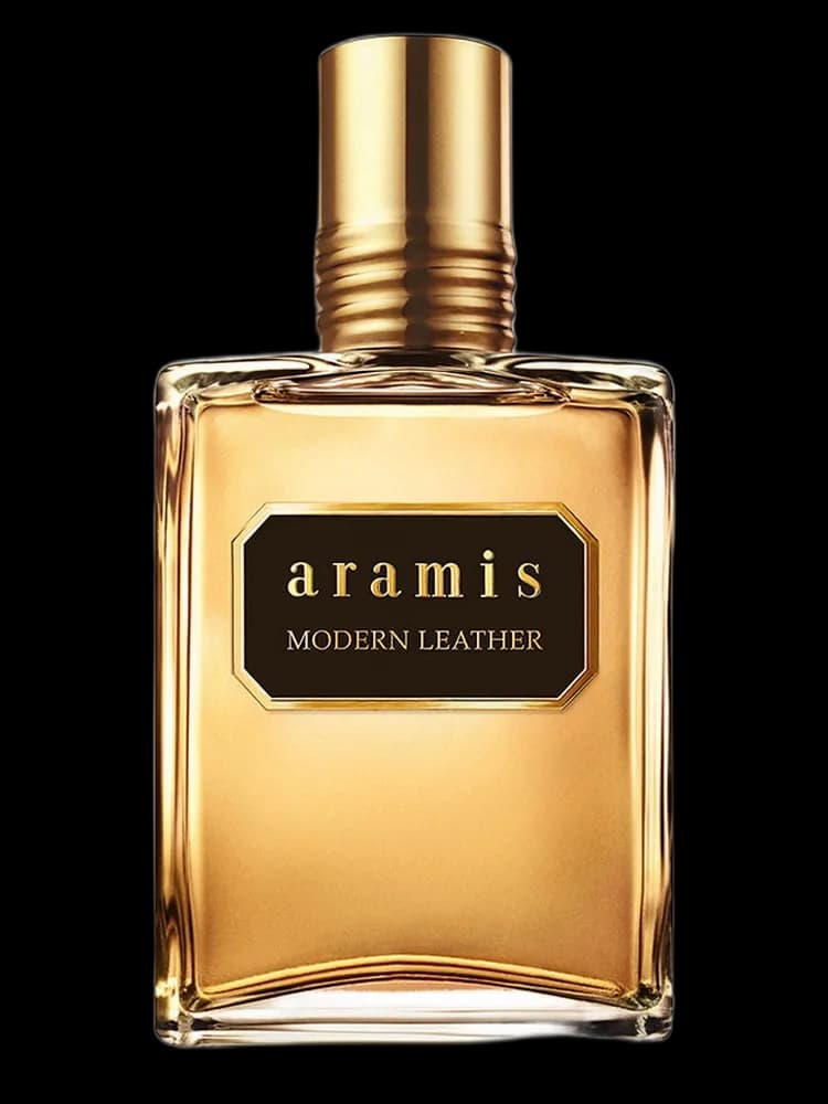 Aramis Modern Leather for men — Aramis