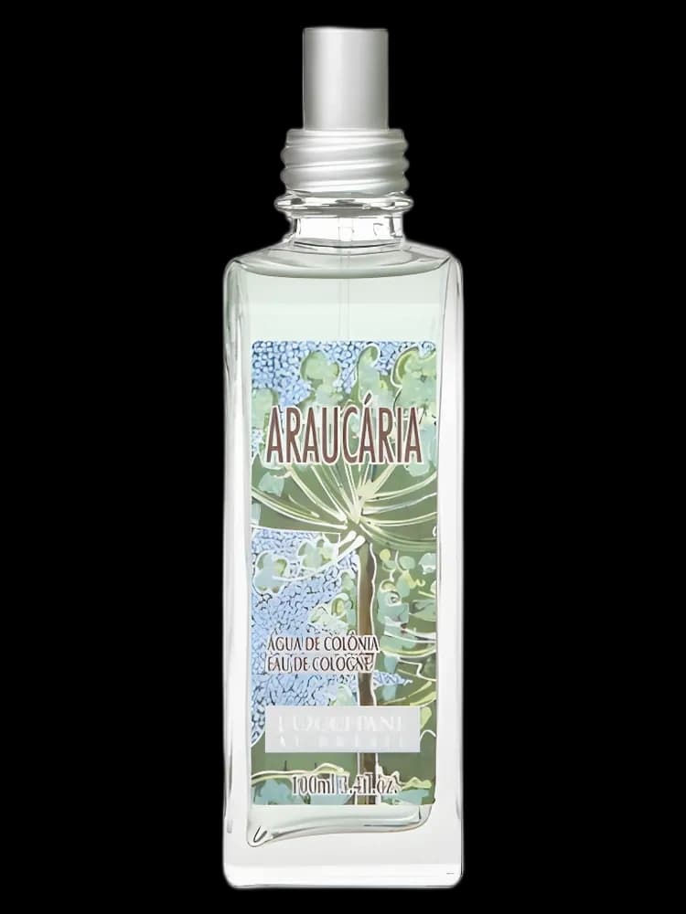 Araucaria L'Occitane Au Bresil for men — L’Occitane Au Brésil