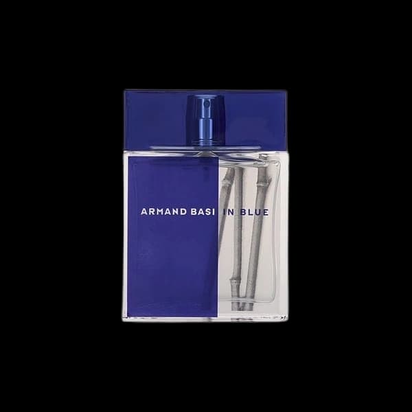 Armand Basi In Blue — Armand Basi