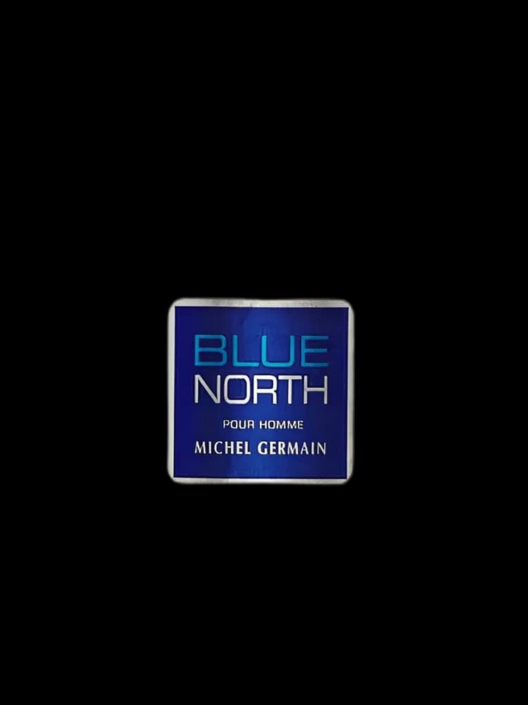 Blue North for men — Michel Germain