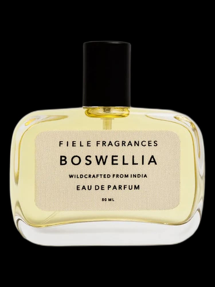 Boswellia unisex — Fiele Fragrances