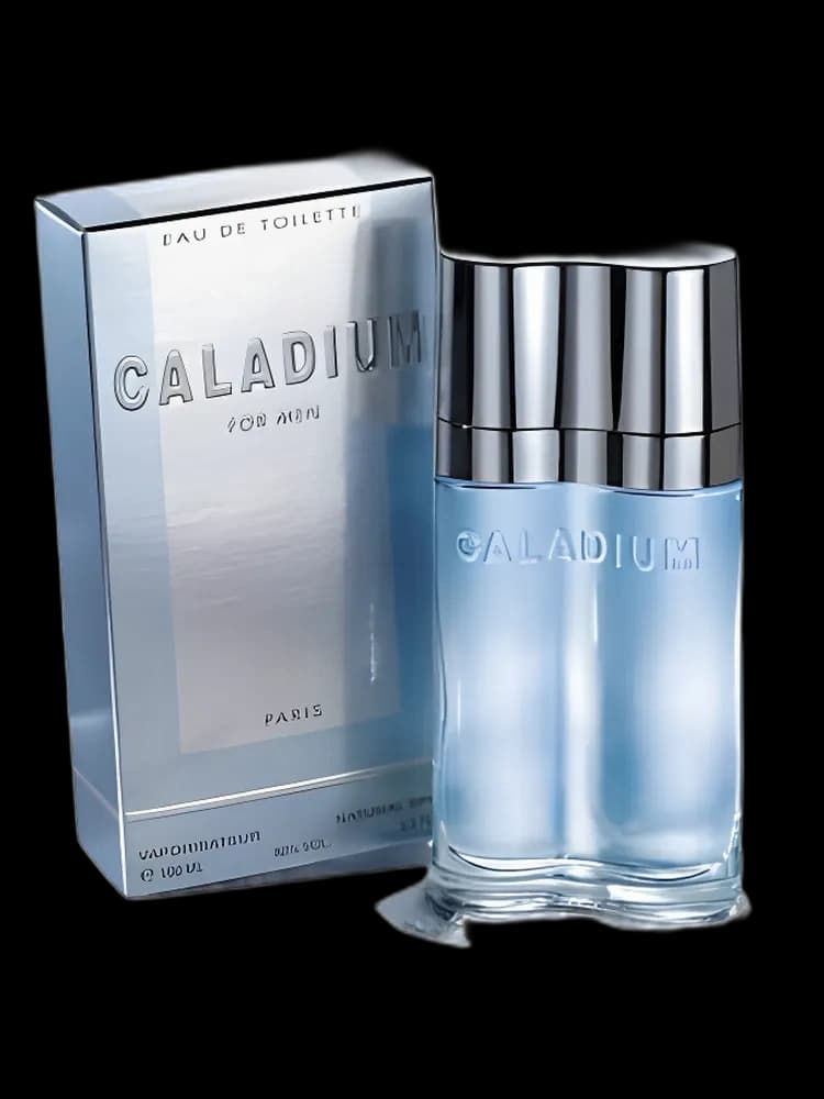 Caladium for men — Yves de Sistelle