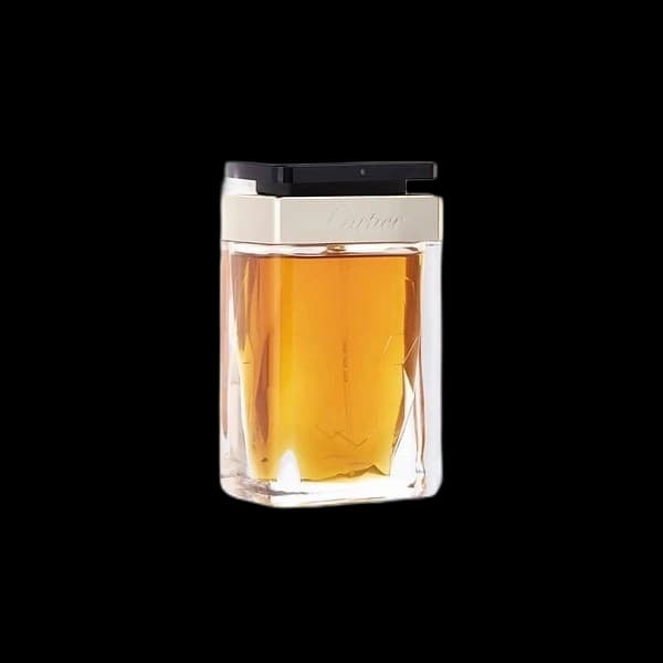 Cartier La Panthere Noir Absolu — Cartier