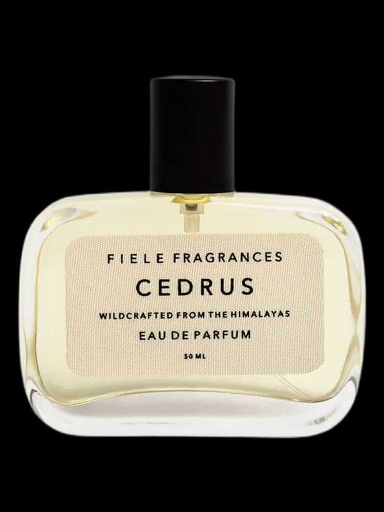 Cedrus unisex — Fiele Fragrances