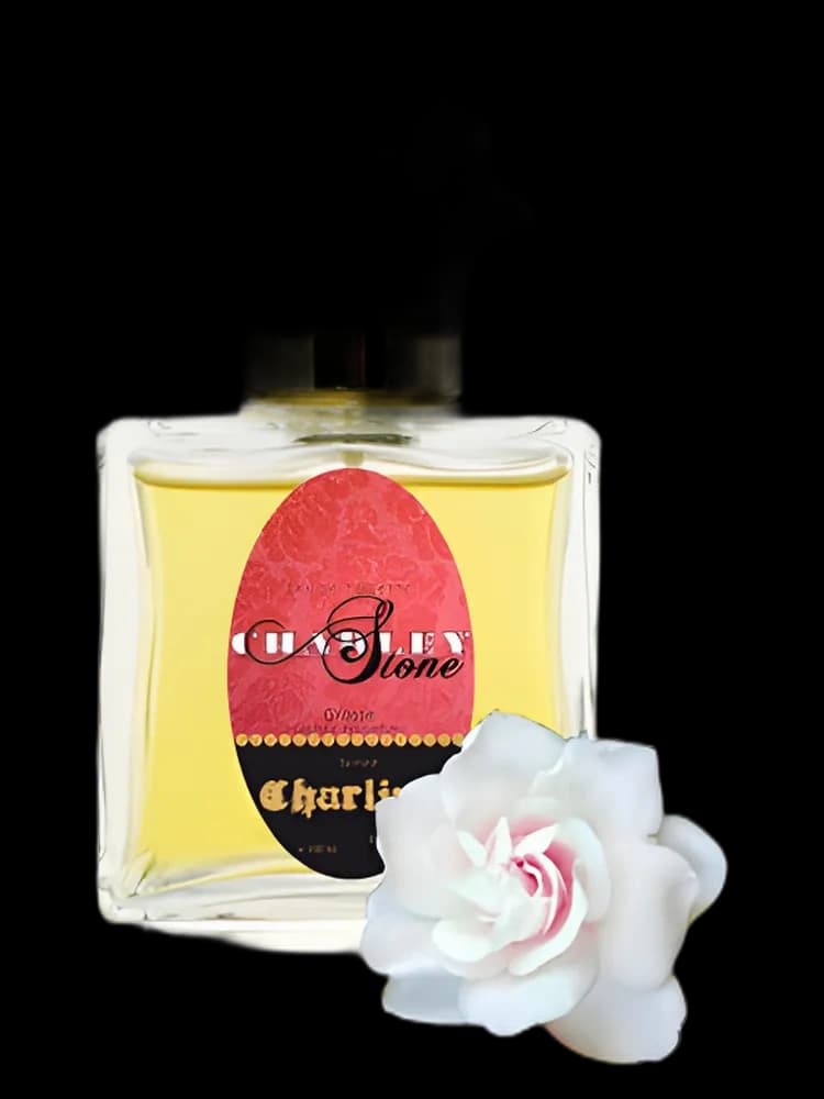 Charline for women — Guy Bouchara