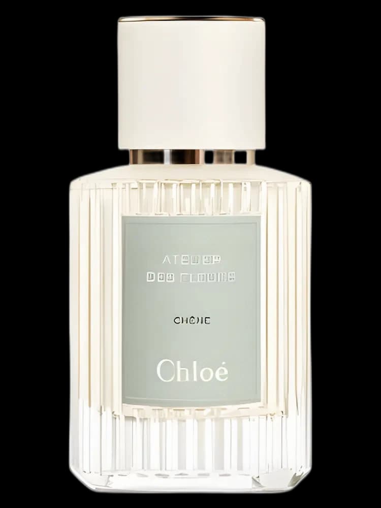 Chene Chloe unisex — Chloé
