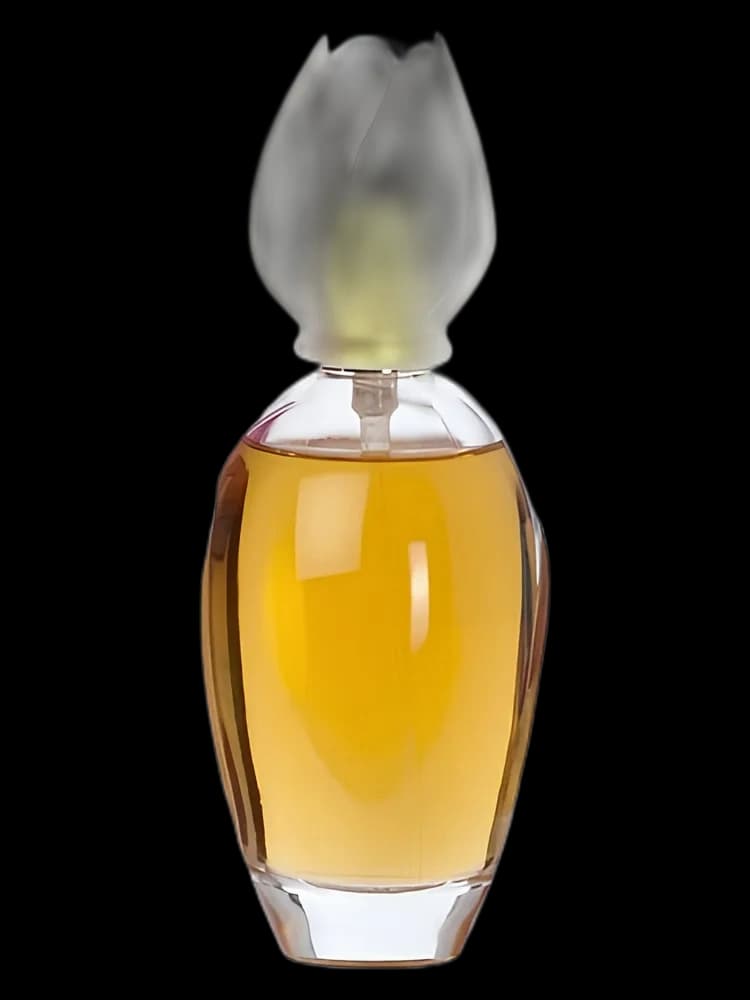 Chloe Narcisse Chloe for women — Chloé