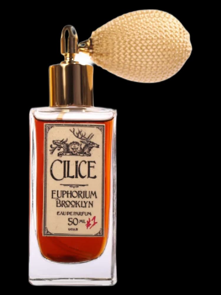 Cilice unisex — Euphorium Brooklyn