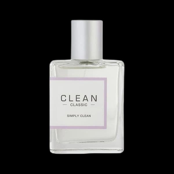 Clean Simply Clean — Clean