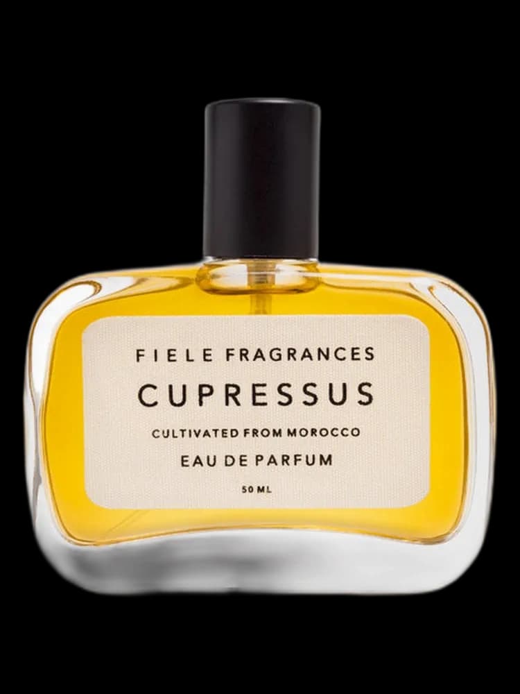 Cupressus unisex — Fiele Fragrances