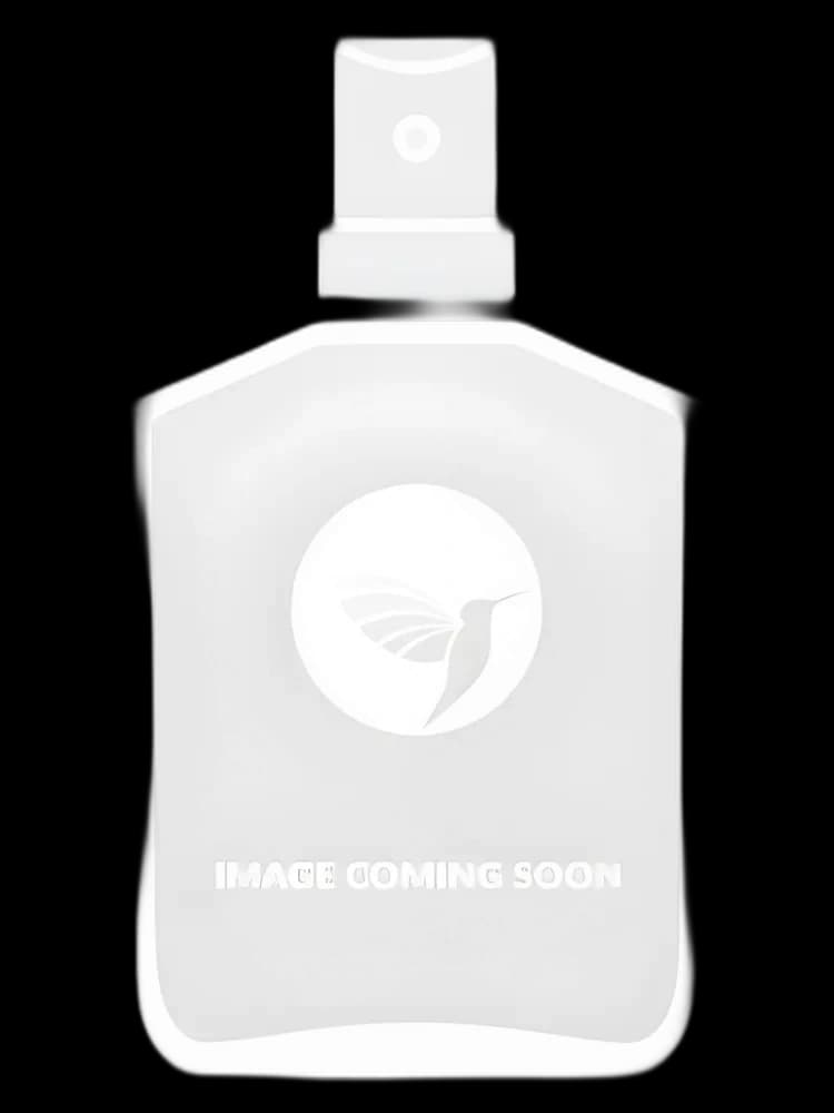 Darkness unisex — CJ Scents