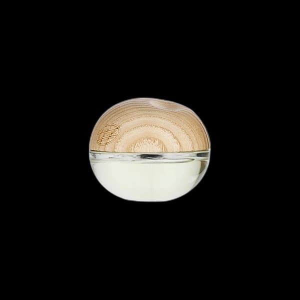 Dkny Be Delicious Coconuts About Summer — Donna Karan