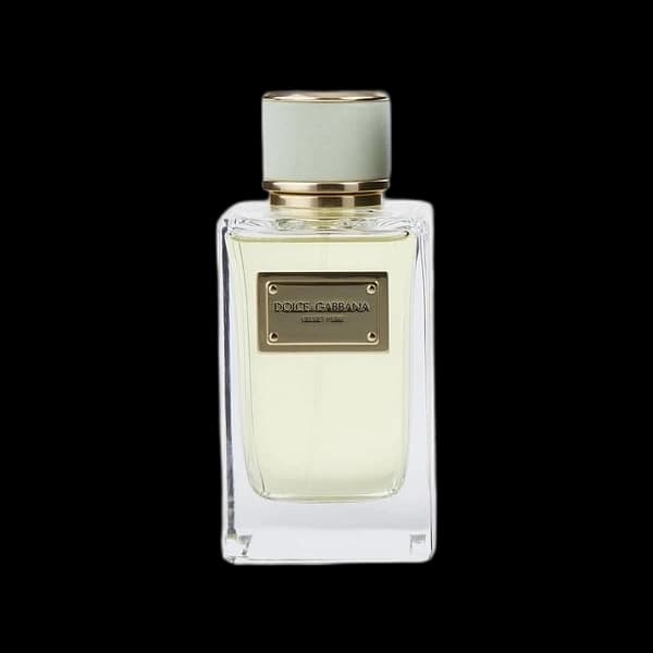 Dolce & Gabbana Velvet Pure — Dolce & Gabbana