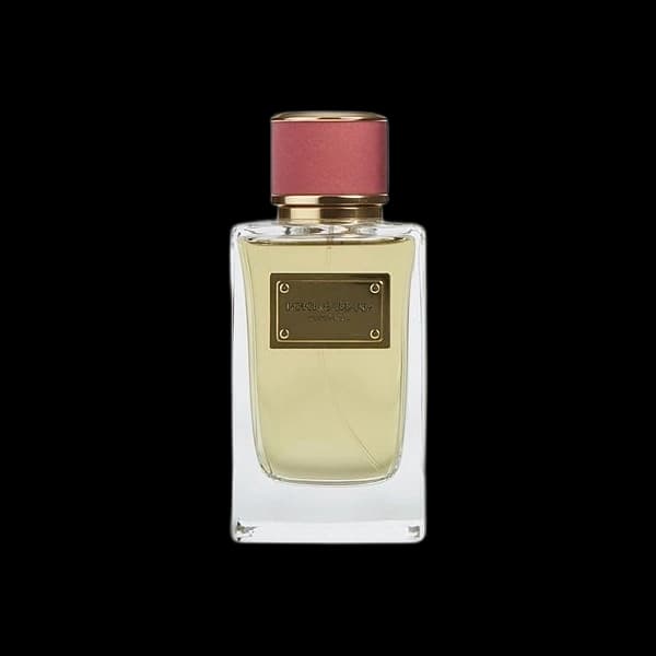 Dolce & Gabbana Velvet Rose — Dolce & Gabbana