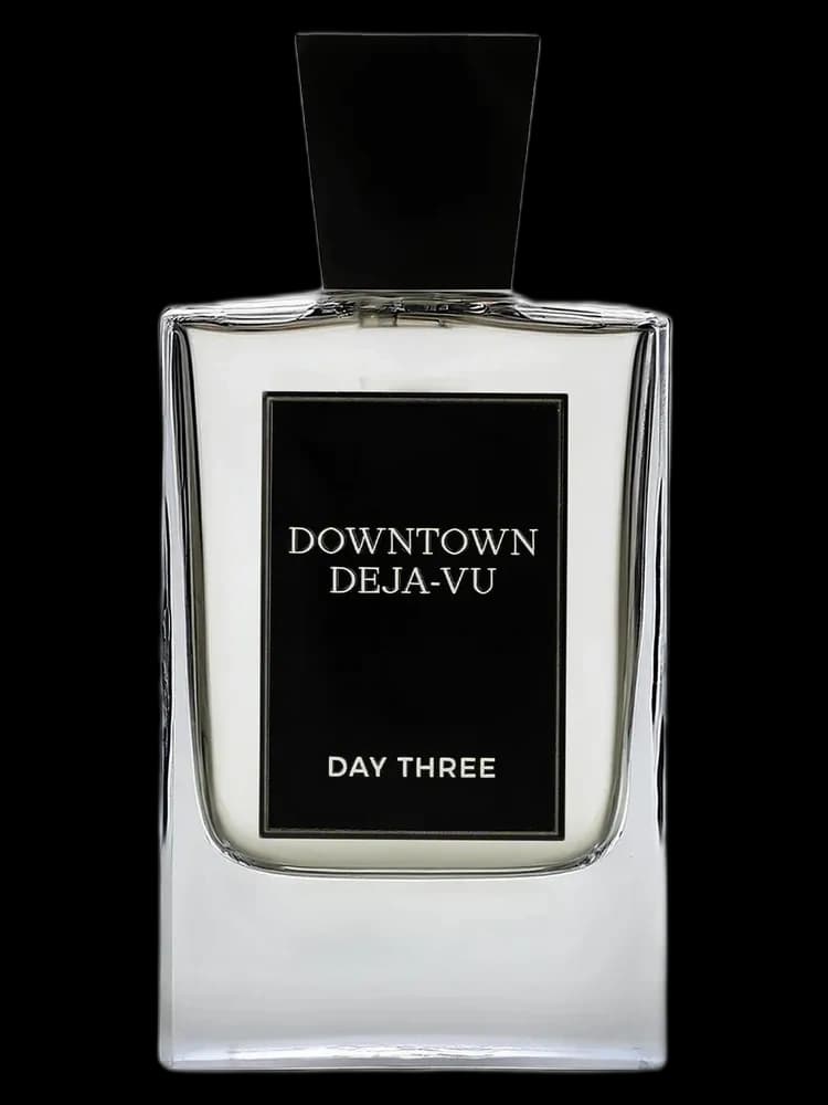Downtown Deja-Vu unisex — Day Three