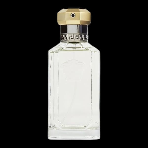 Dreamer — Gianni Versace