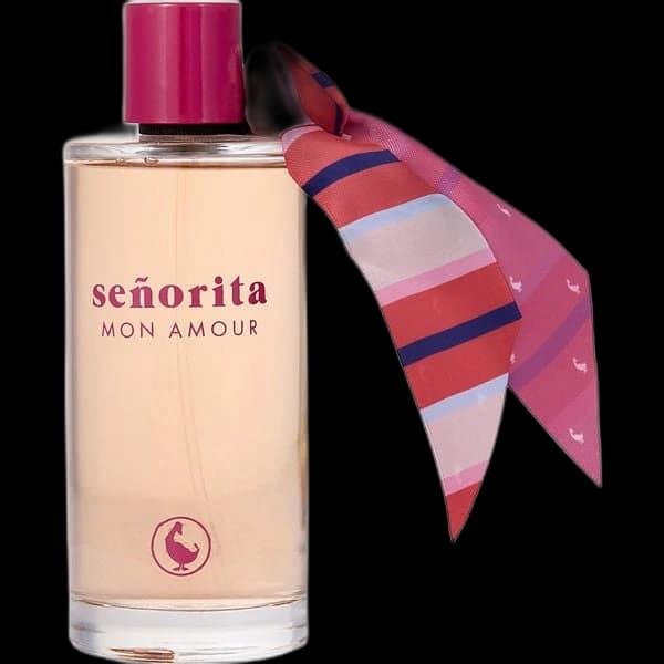 El Ganso Senorita Mon Amour — El Ganso