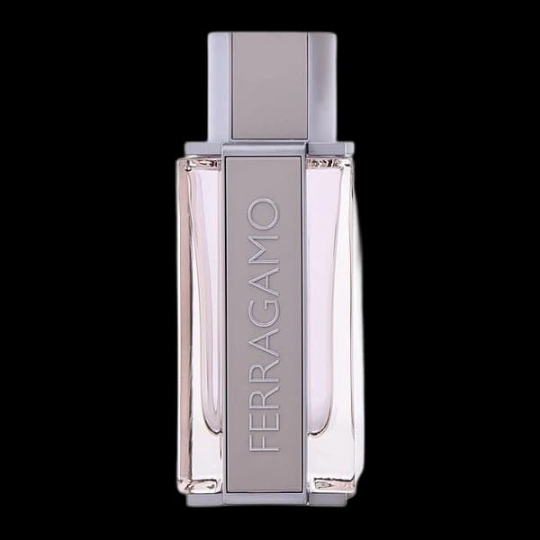 Ferragamo Bright Leather — Salvatore Ferragamo