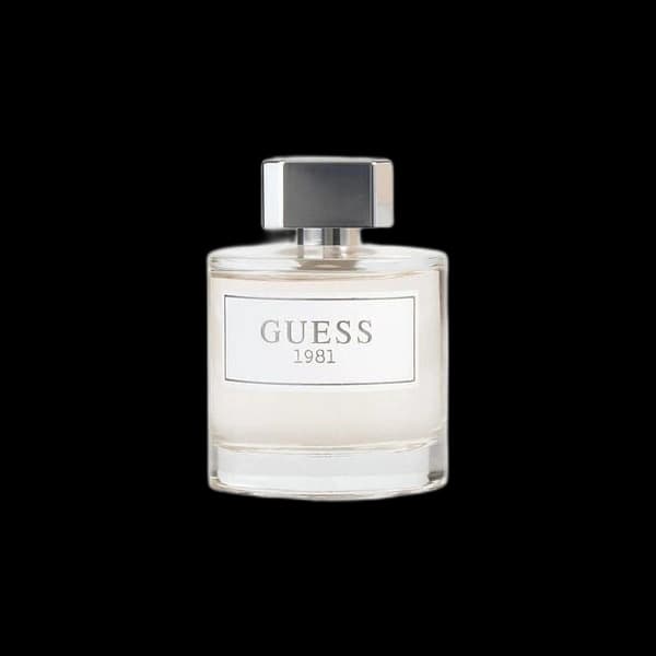 Guess 1981 — GUESS