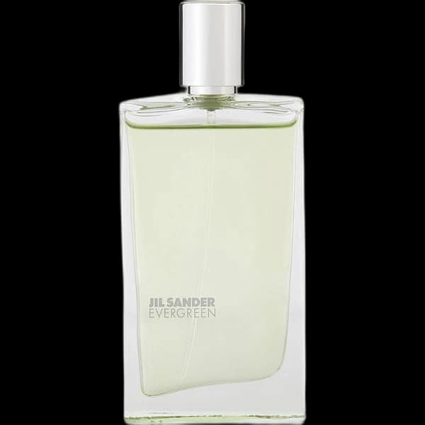 Jil Sander Evergreen — Jil Sander