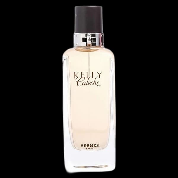 Kelly Caleche — Hermes