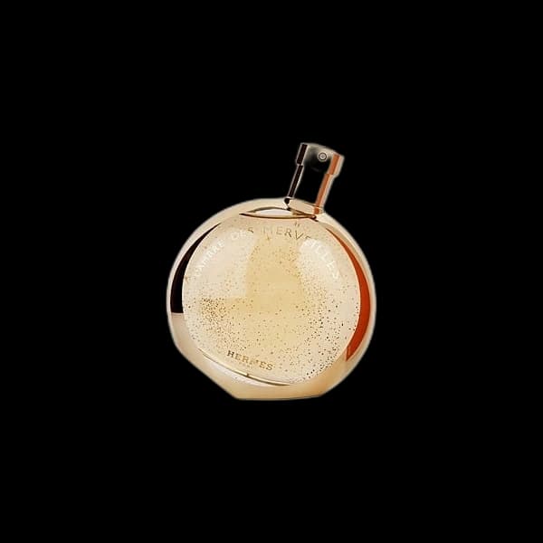 L'Ambre Des Merveilles — Hermes