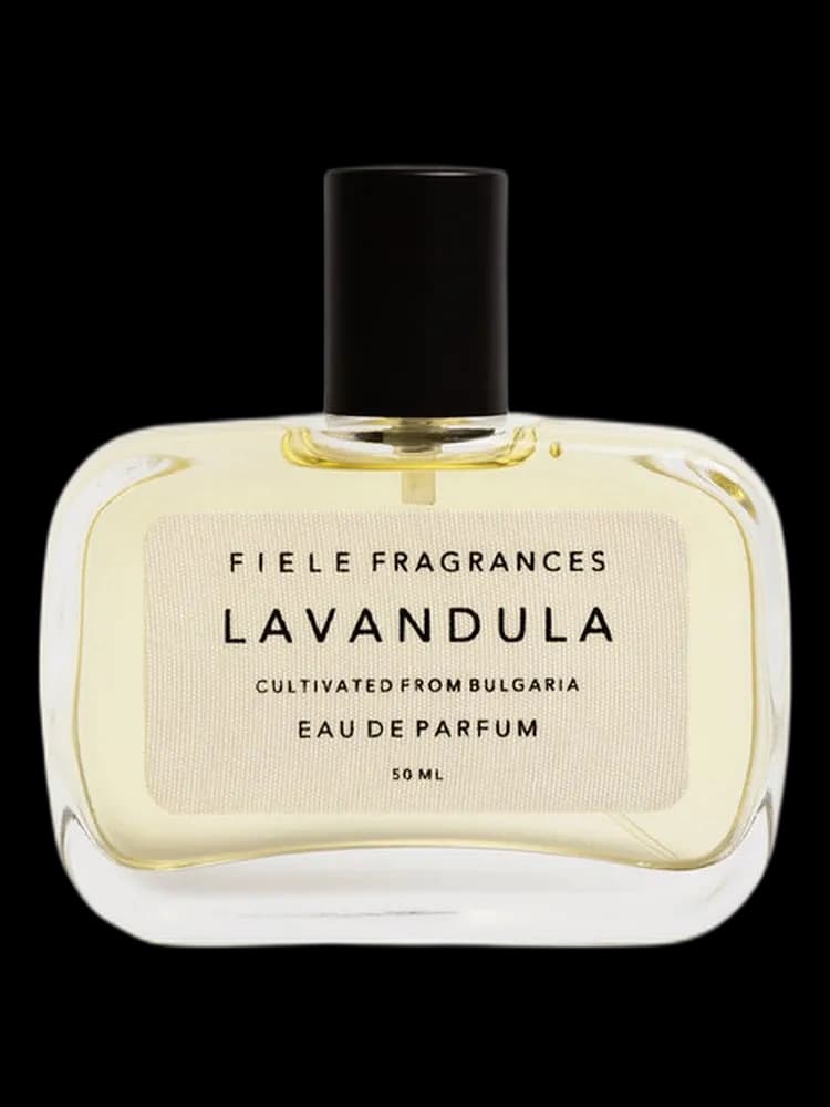 Lavandula unisex — Fiele Fragrances