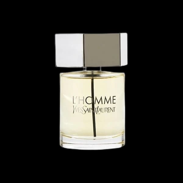 L'Homme Yves Saint Laurent — Yves Saint Laurent