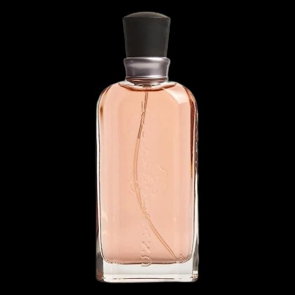 Lucky You — Lucky Brand