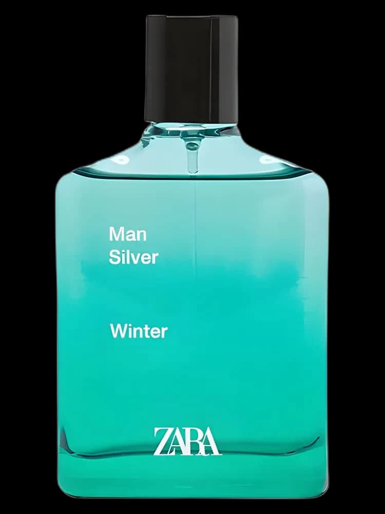 Man Silver Winter for men — Zara