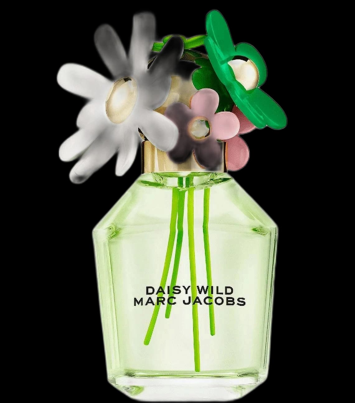 Marc Jacobs Daisy Wild — Marc Jacobs