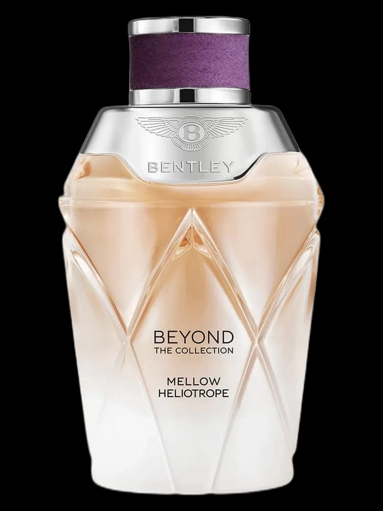 Mellow Heliotrope unisex — Bentley