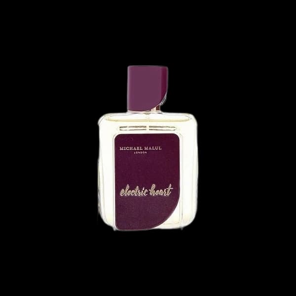 Michael Malul Electric Heart — Michael Malul