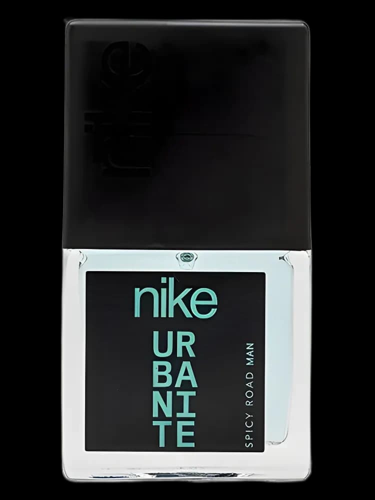 Nike Spicy Road for men — Nike