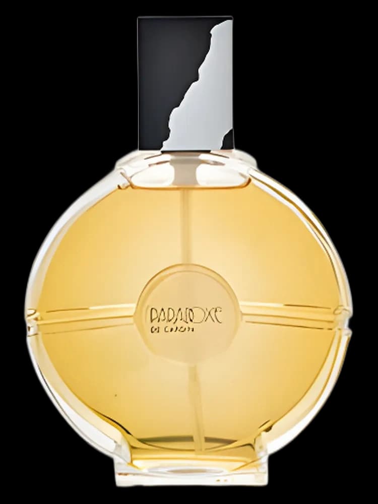 Paradoxe for women — Pierre Cardin