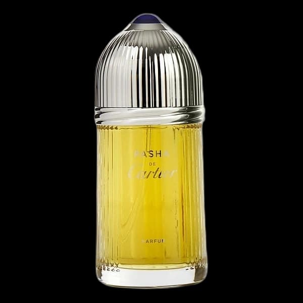Pasha De Cartier — Cartier