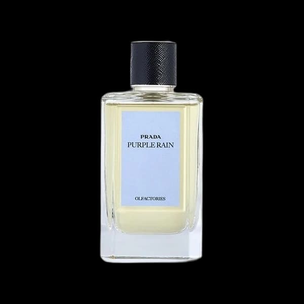 Prada Purple Rain — Prada
