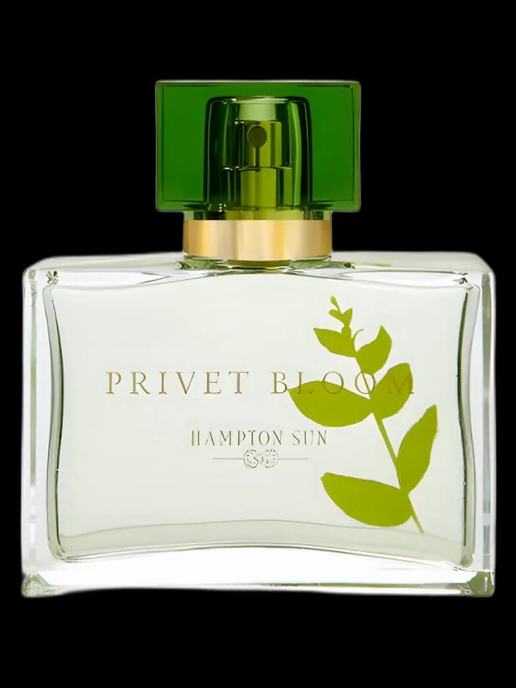 Privet Bloom for women — Hampton Sun