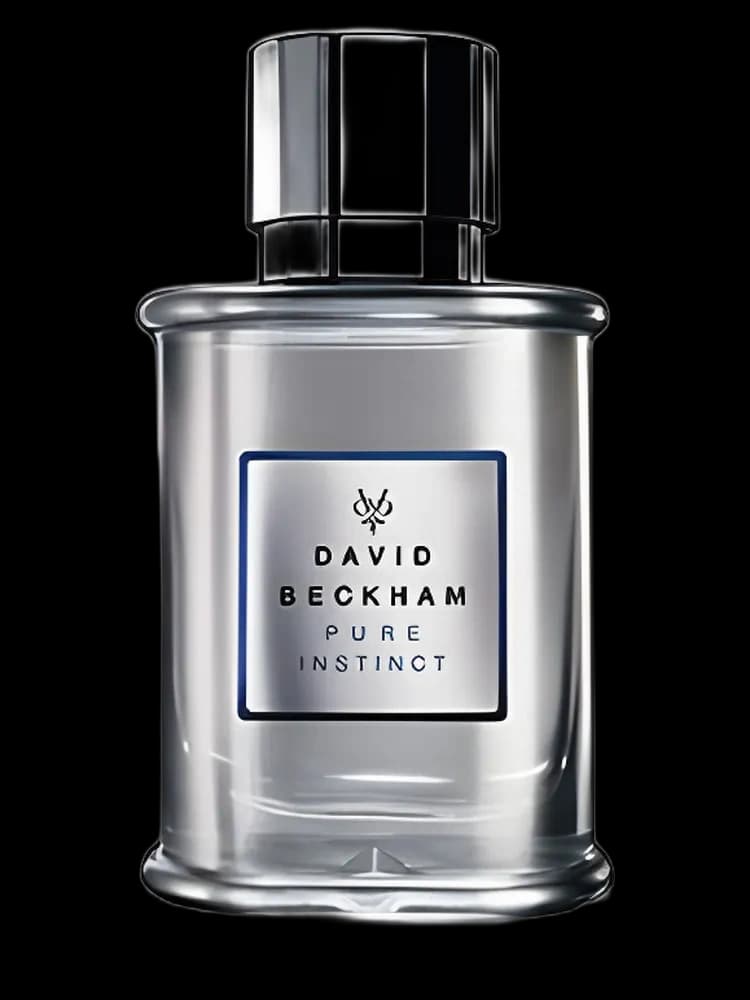 Pure Instinct for men — David Beckham