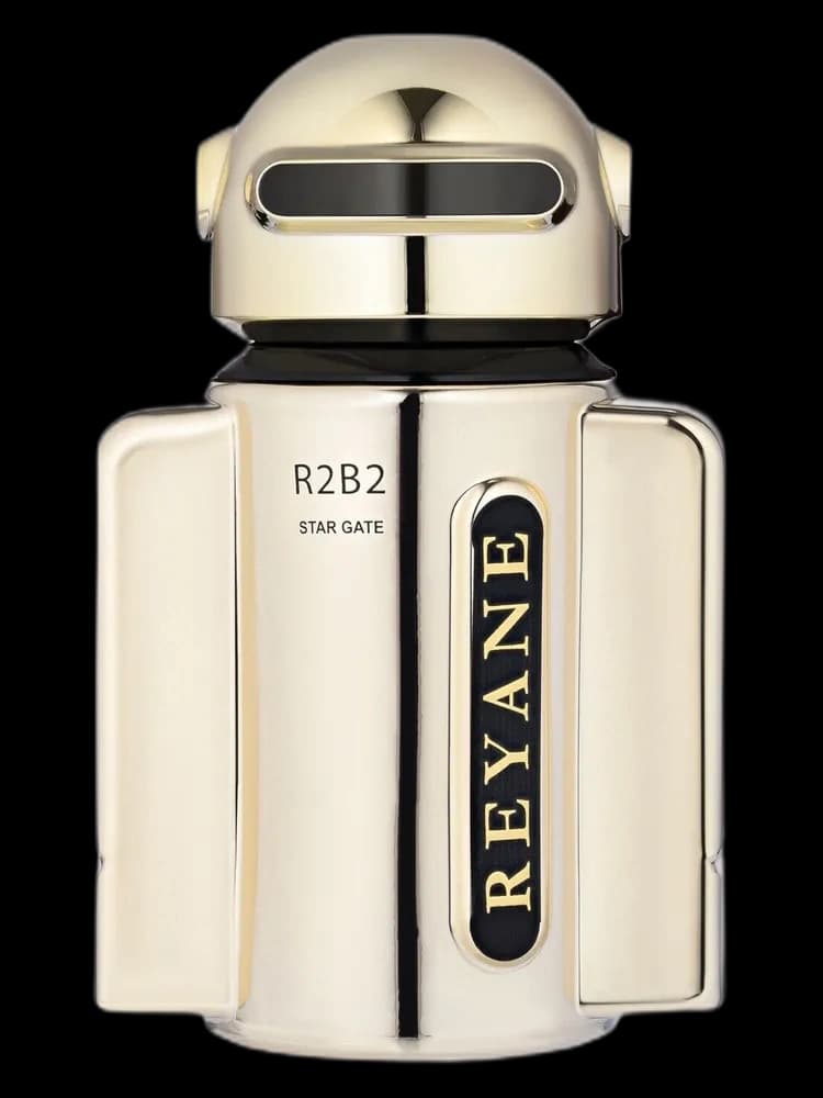 R2B2 Star Gate unisex — Reyane Tradition