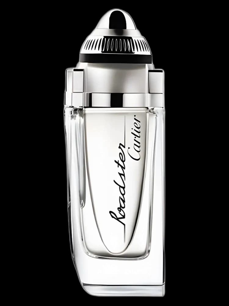 Roadster for men — Cartier
