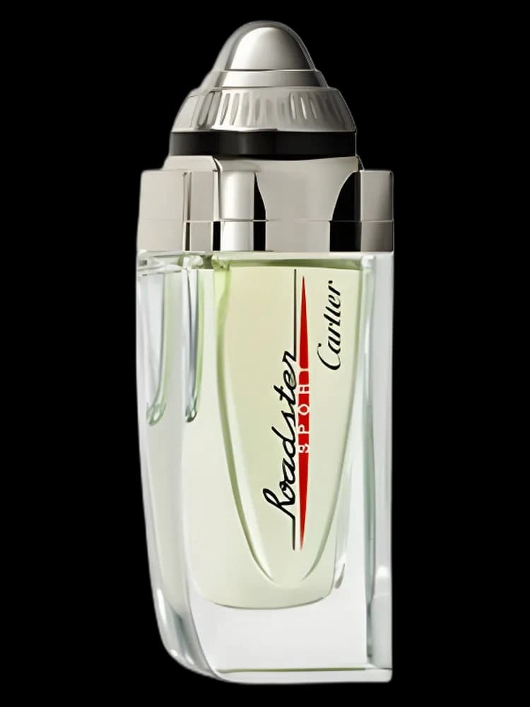 Roadster Sport for men — Cartier