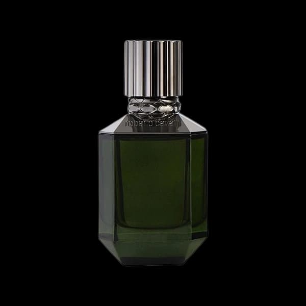 Roberto Cavalli Paradise Found — Roberto Cavalli
