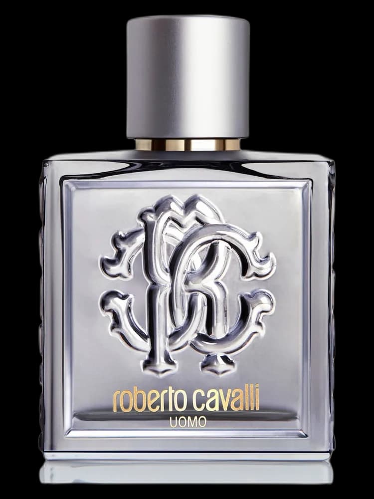 Roberto Cavalli Uomo Silver Essence for men — Roberto Cavalli