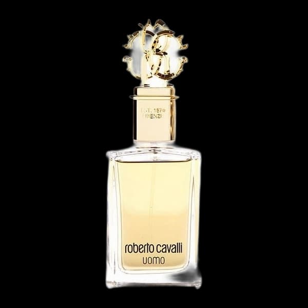 Roberto Cavalli Uomo — Roberto Cavalli