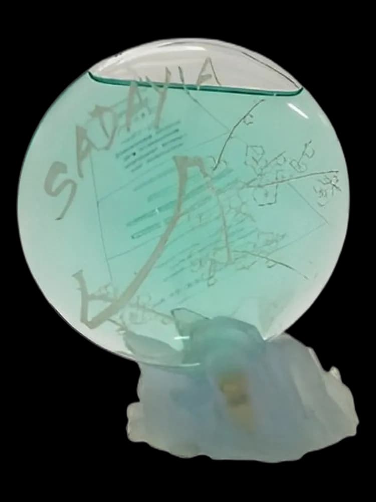 Sadayia for women — Pacoma