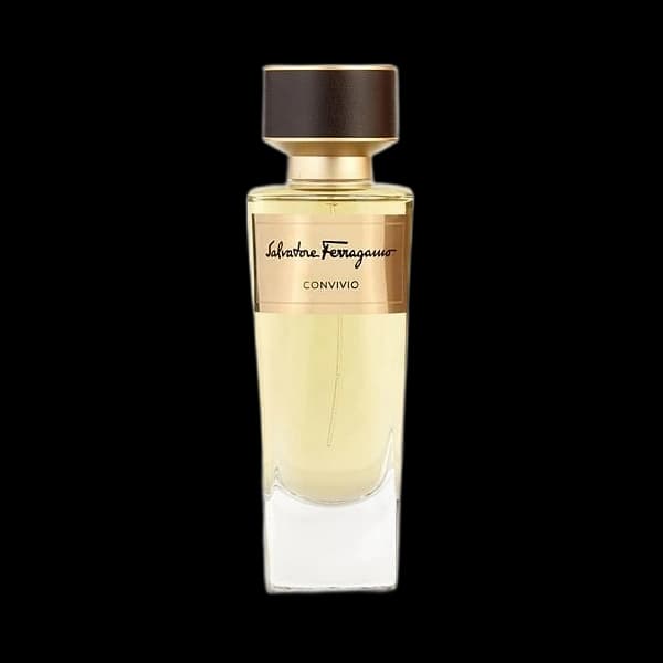 Salvatore Ferragamo Convivio — Salvatore Ferragamo