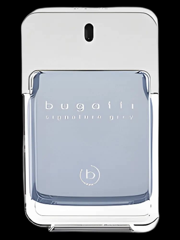 Signature Grey for men — Bugatti Fashion